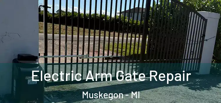 Electric Arm Gate Repair Muskegon - MI